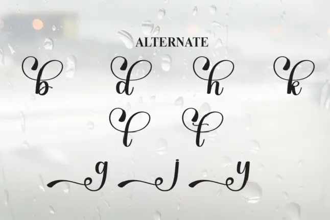 Rainday Script Typeface font