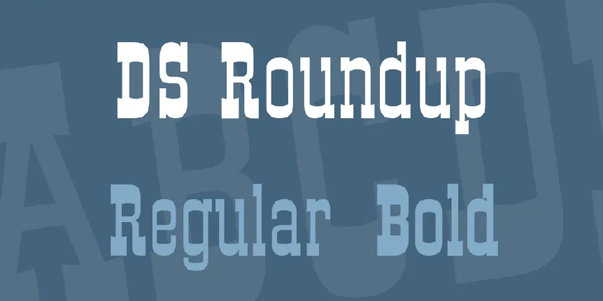 DS Roundup font