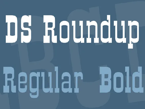 DS Roundup font