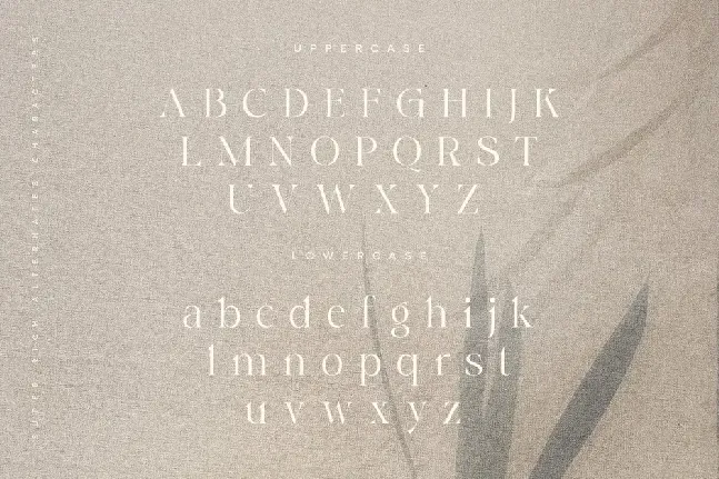 CaghenDemo font