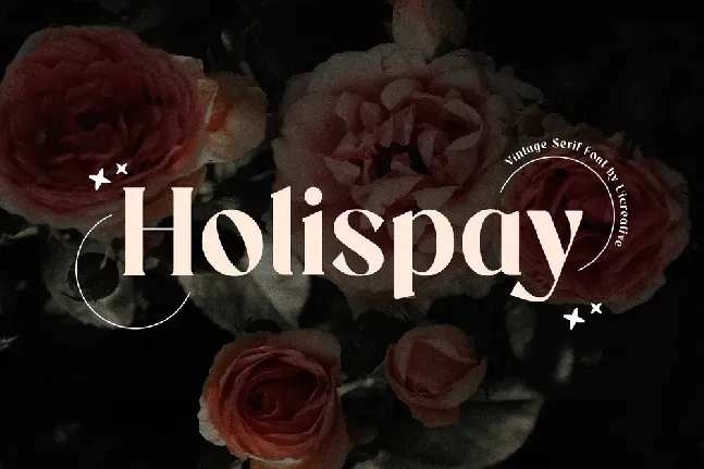 Holispay font