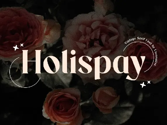 Holispay font