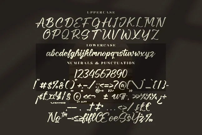 Bricyte Howela font