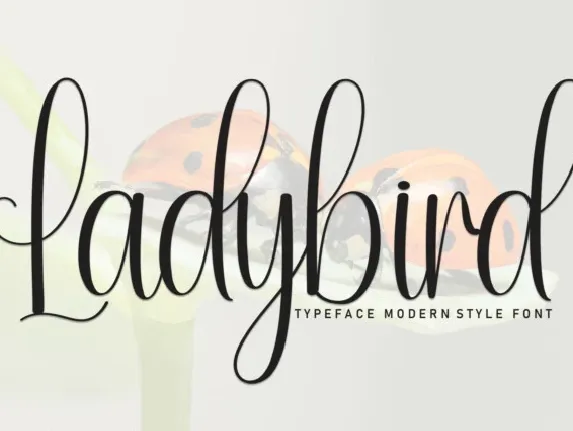 Ladybird Script font