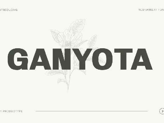 Ganyota Personal use font