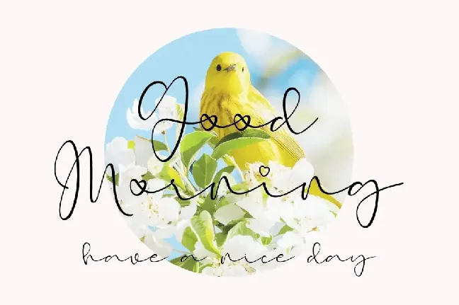 Early Morning Birds font