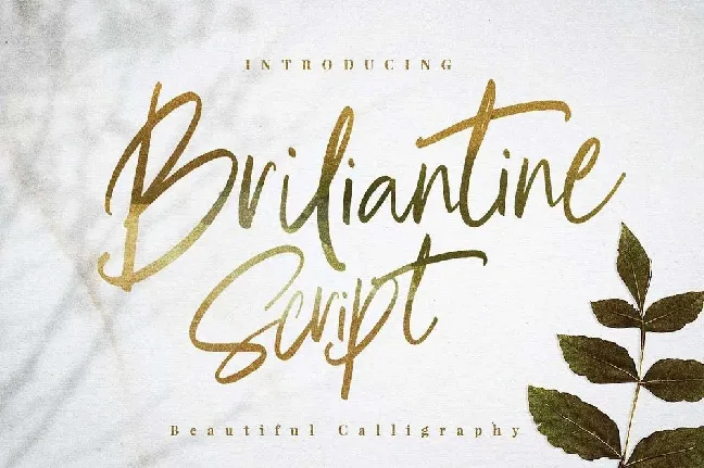 Briliantine Script Free font