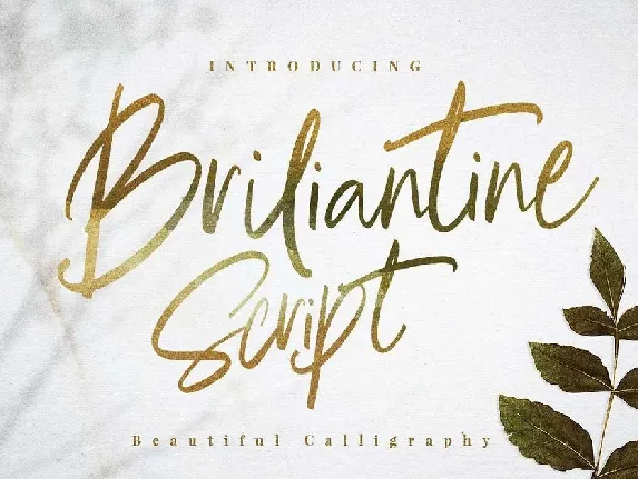 Briliantine Script Free font