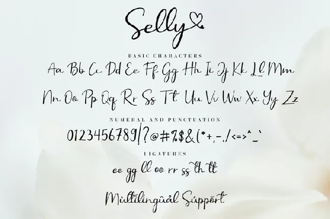 Selly font