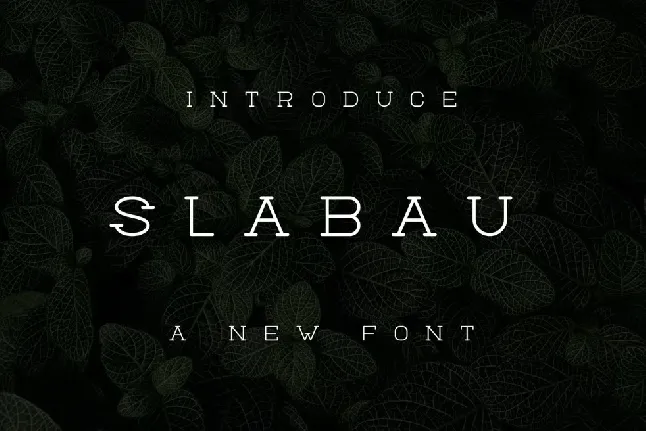 Slabau font