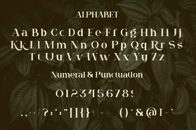 Quagi font