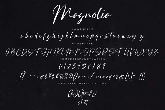 Magnolia font