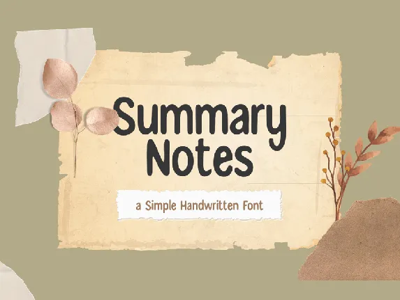 Summary Notes font