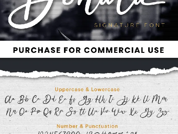 Denala - Personal Use font