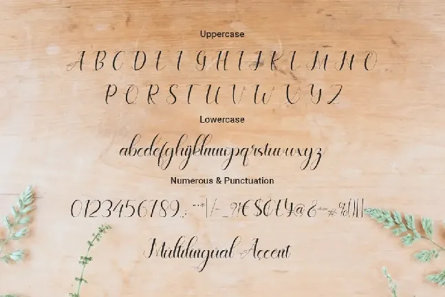 Celinya font