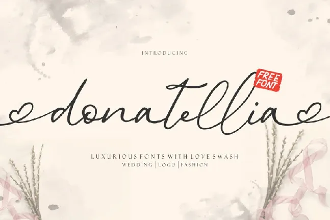 Donatellia Signature font