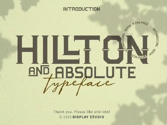 Hillton and Absolute font