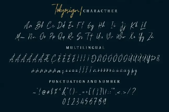 Tokyosign Script font