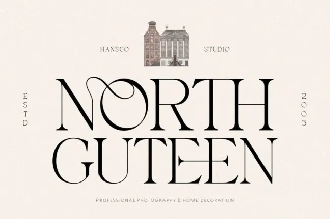 Notica Serif font