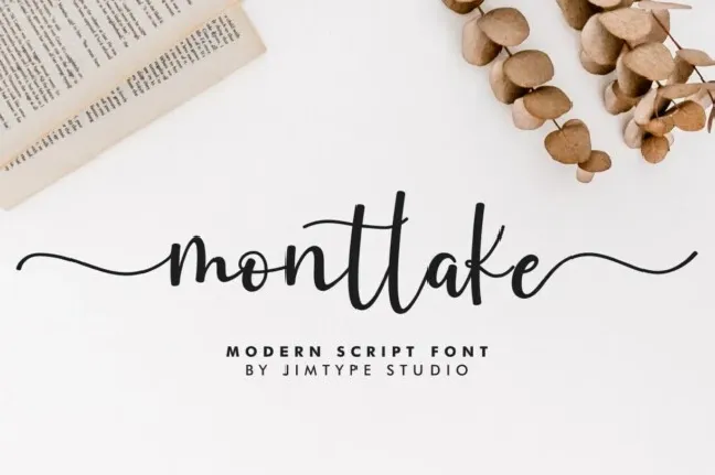 Montlake font