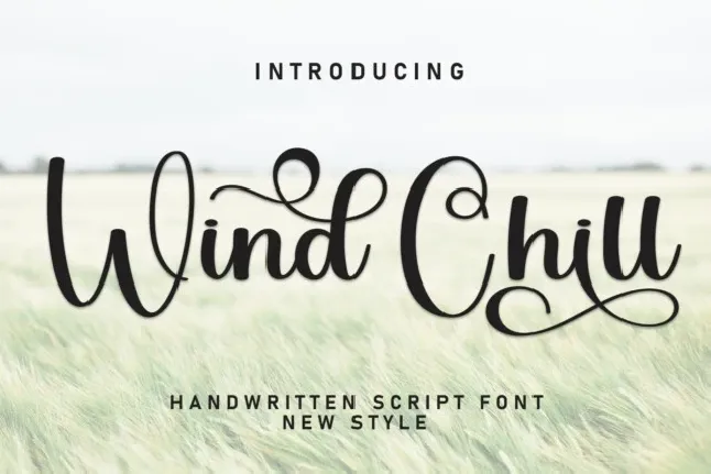 Wind Chill Script font