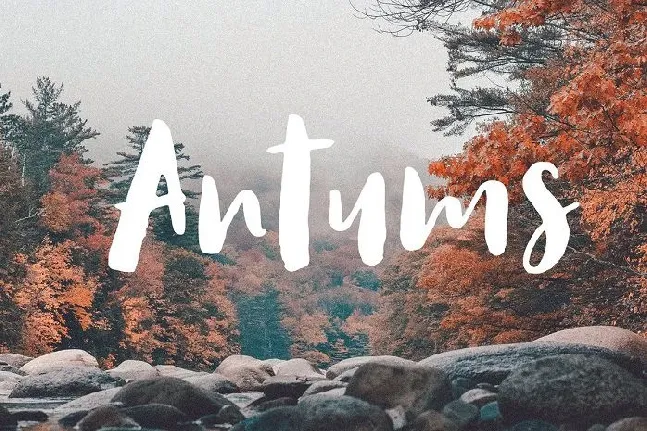 Antums Script font