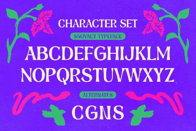 Snovacy font