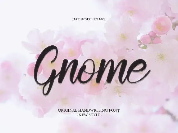 Gnome Typeface font