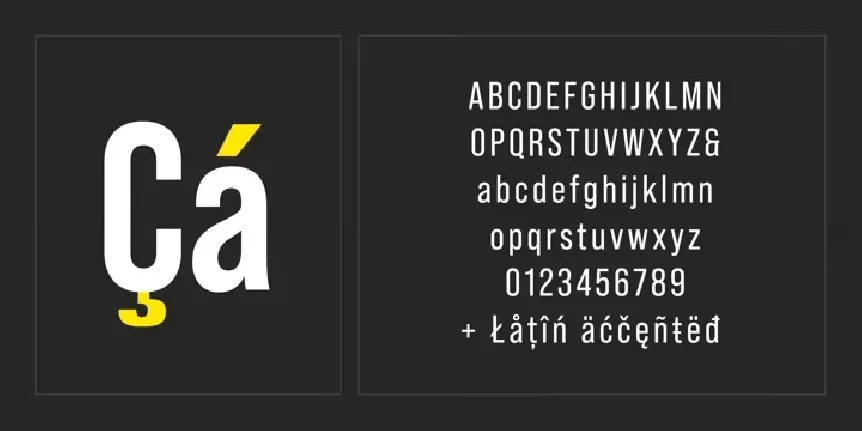 Bebas Neue Pro font