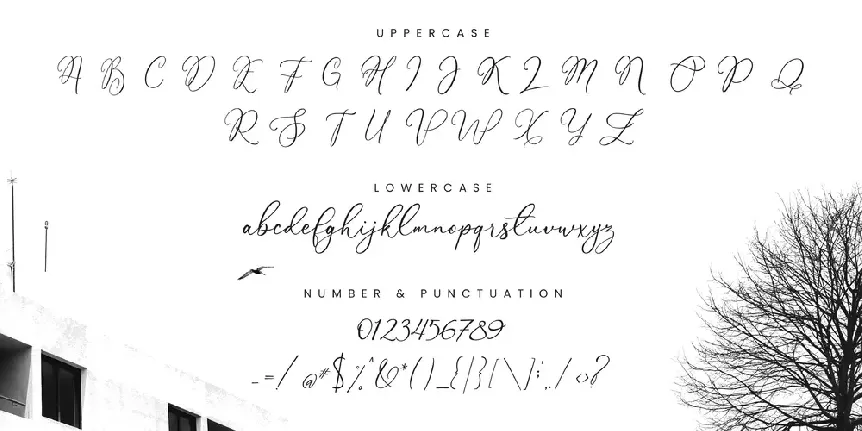 Namalika PERSONAL USE ONLY font