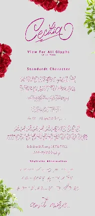 Cecilia Script Free font