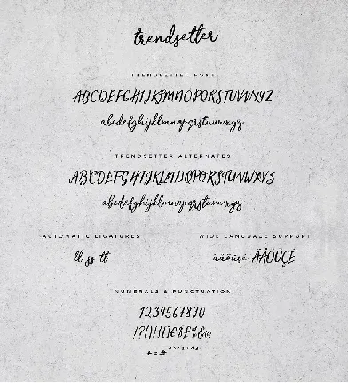 Trendsetter Script font