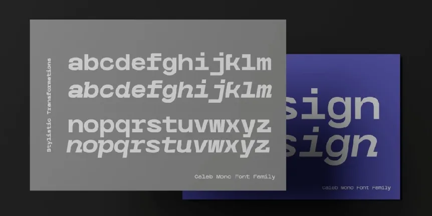 Caleb Mono Family font