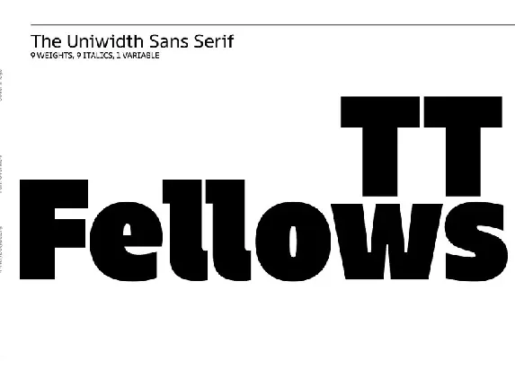 TT Fellows Family font