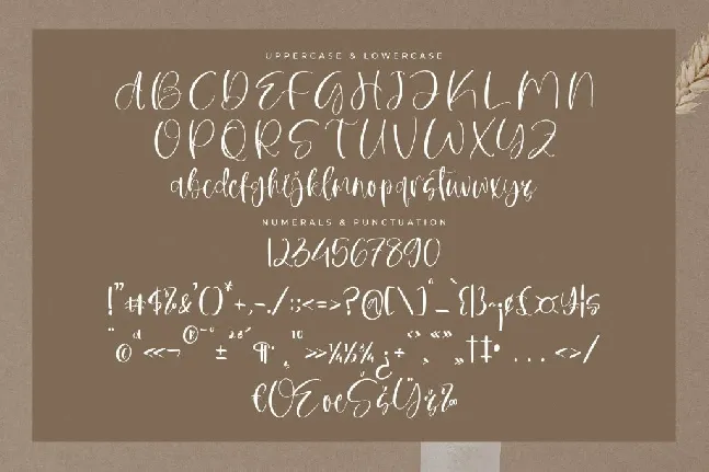 Sophia Romantic DEMO VERSION font