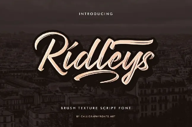 Ridleys font