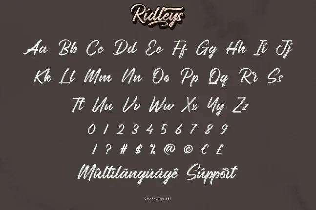 Ridleys font