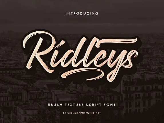 Ridleys font