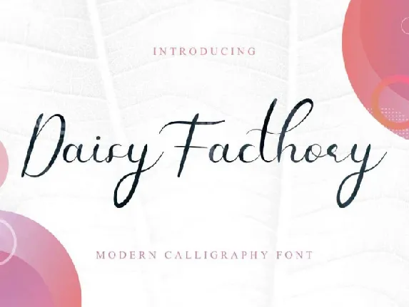 Daisy Facthory Calligraphy font