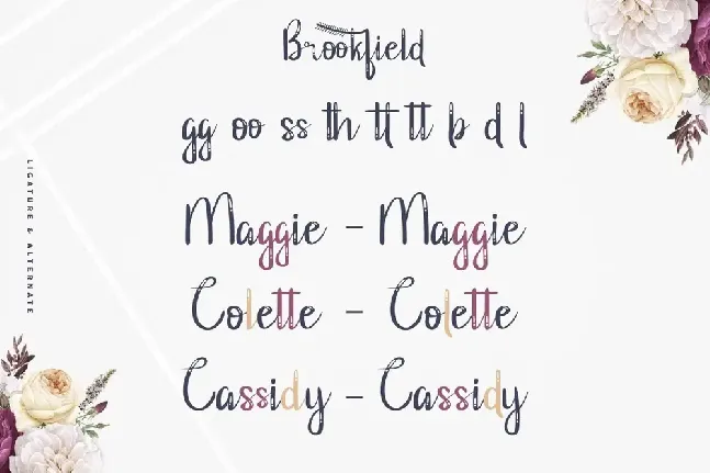 Brookfield Demo font