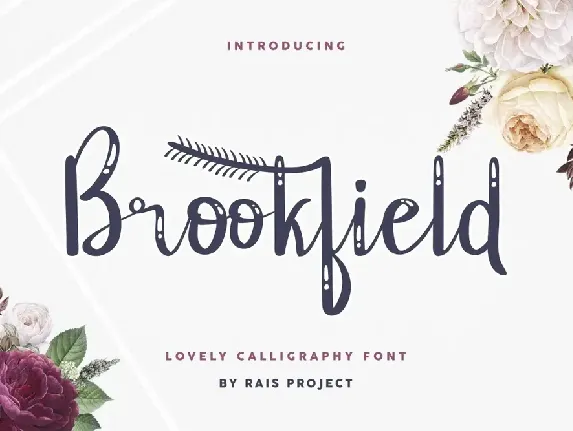 Brookfield Demo font