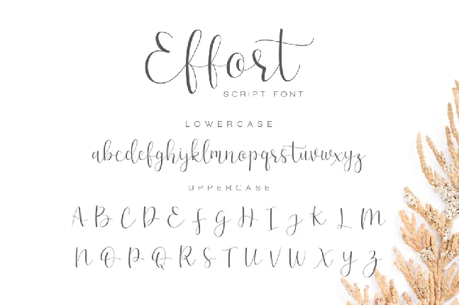 Effort font