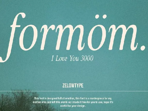 ZT Formom font