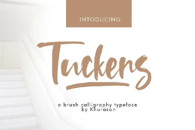 Tuckers Brush font