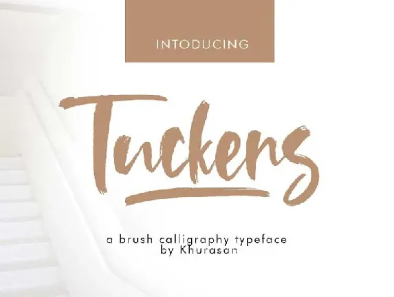 Tuckers Brush font