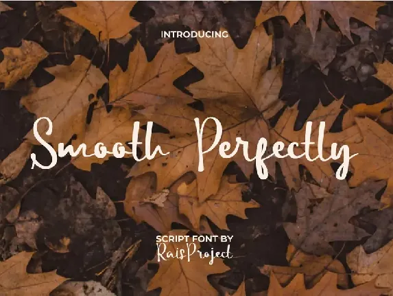 SmoothPerfectly Demo font