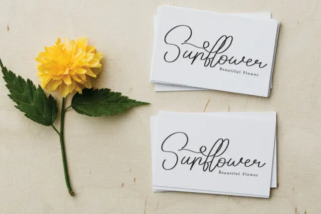 Daughter Script font