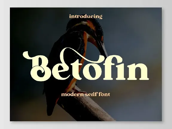 Betofin free for personal use font