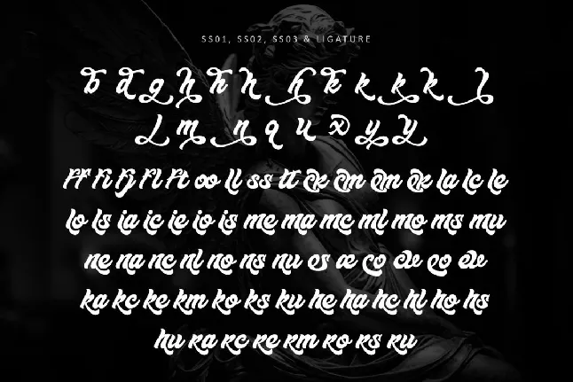 Angelos-Personal use font