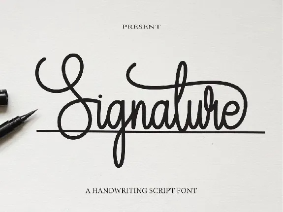 Signature Script Typeface font